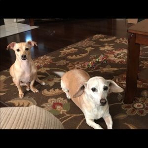 Meet your Posher, Veronica